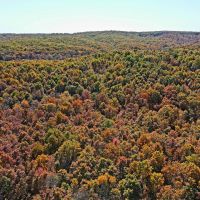 Rolling Hills 10-acre tract images 2