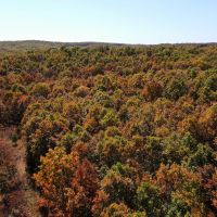 Rolling Hills 10-acre tract images 3