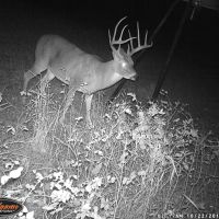 Kansas Lease Available