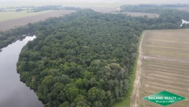 39 ac - Hunting Tract with Camp Area Along Tensas River featured image