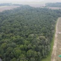 39 ac - Hunting Tract with Camp Area Along Tensas River images 3