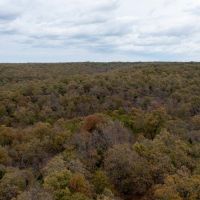 Sand Springs 80