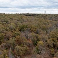 Sand Springs 80 images 2