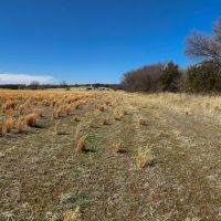 Cleveland County 87 images 1