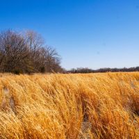 Cleveland County 87 images 2