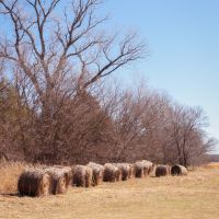Cleveland County 87 images 3