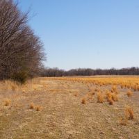 Cleveland County 87 images 4
