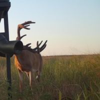 Kiowa Pratt County Line Farm
