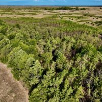 Kiowa Pratt County Line Farm images 2