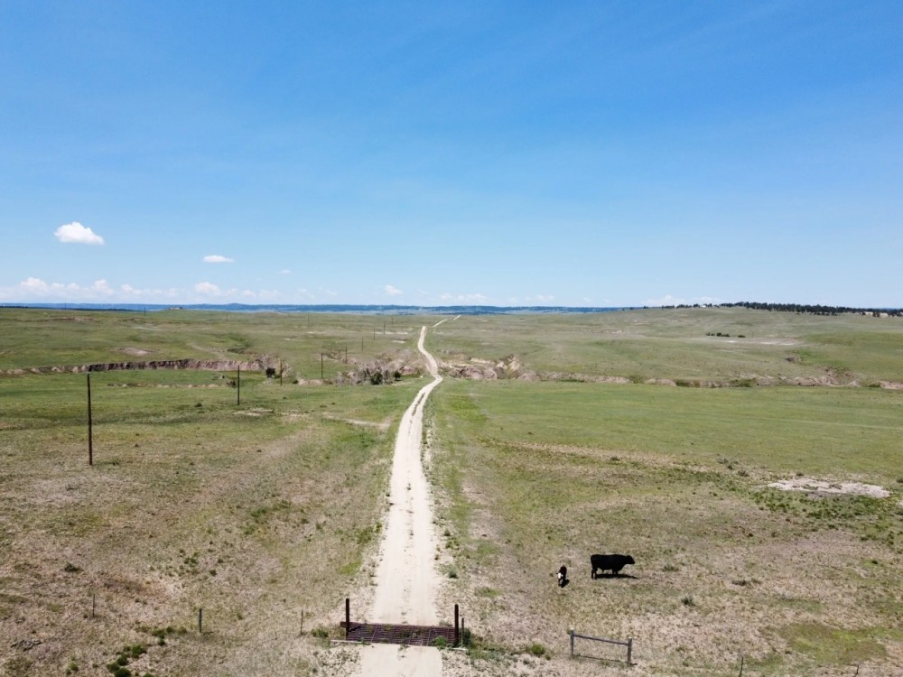 Station Gulch Ranches featured image