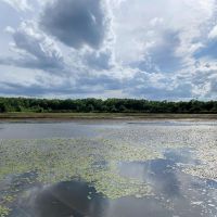 691 Acre High Fence Hunting Property for Sale 2 Lodges LA