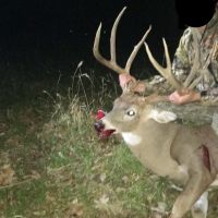 691 Acre High Fence Hunting Property for Sale 2 Lodges LA images 3