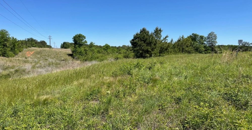 32.9 Acres in Covington County in Collins MS featured image