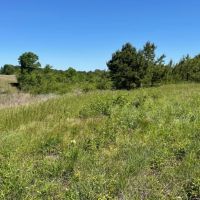 32.9 Acres in Covington County in Collins MS