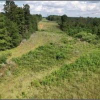 32.9 Acres in Covington County in Collins MS images 2