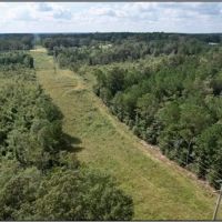 32.9 Acres in Covington County in Collins MS images 5