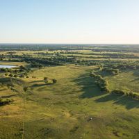 Northeast Texas Cattle Ranch - Bowie County
