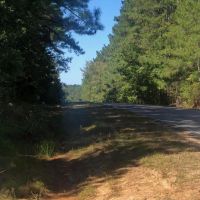 Timber Recreational Hunting Property for Sale Choctaw Co MS images 3