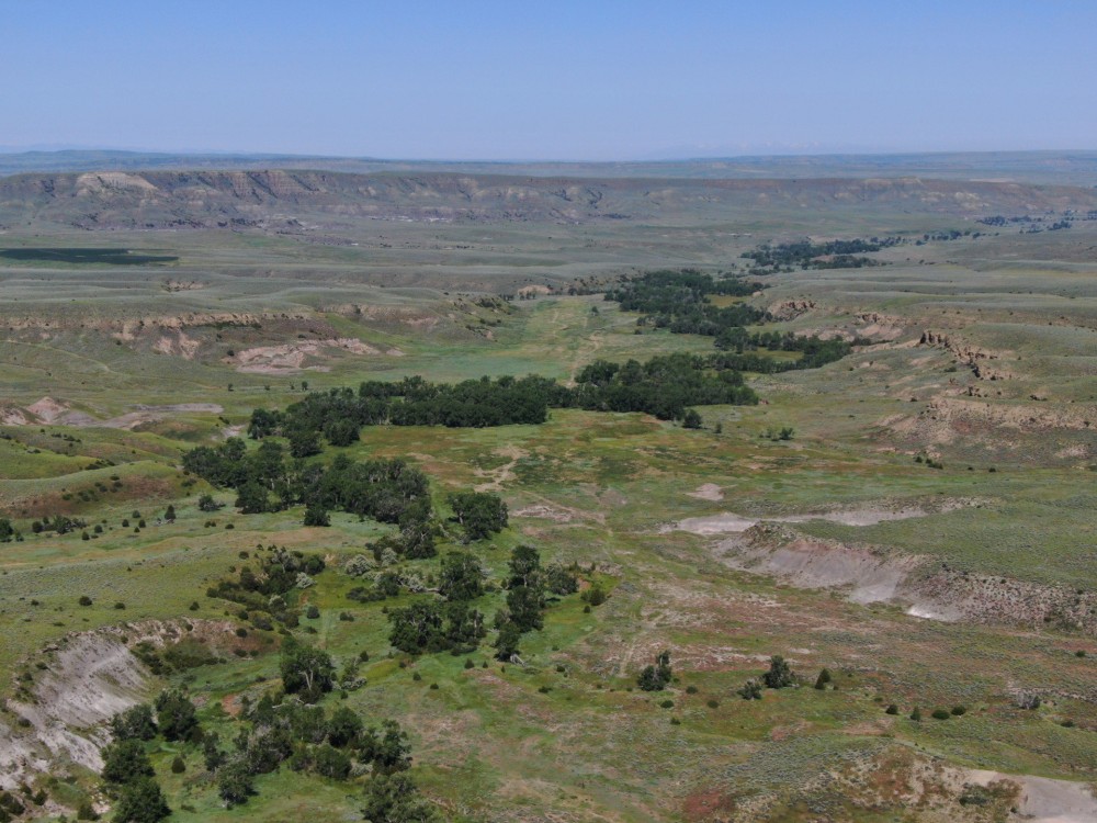 Velociraptor Ranch featured image