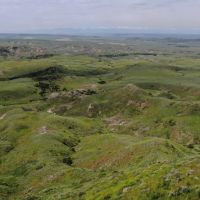 Velociraptor Ranch images 3