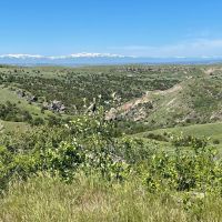 Velociraptor Ranch images 4
