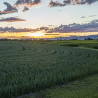 Spring Family Farm images 1