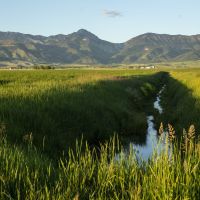 Spring Family Farm images 2