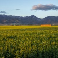 Spring Family Farm images 4
