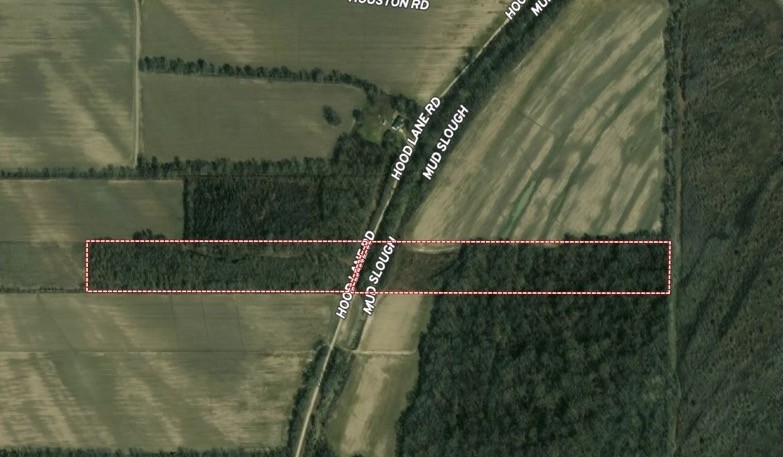 LA - East Carroll 20 acres - featured image