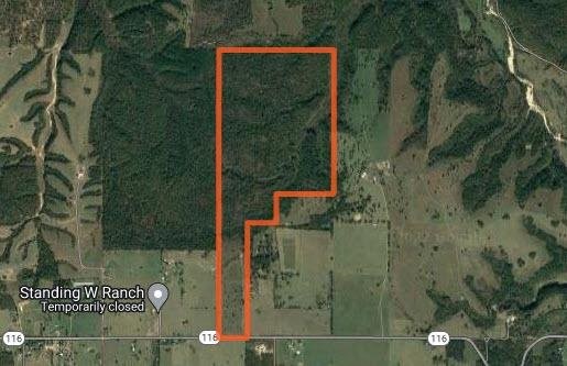 260 Acres of Great Hunting and Build Site featured image