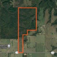 260 Acres of Great Hunting and Build Site