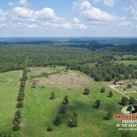 260 Acres of Great Hunting and Build Site images 4