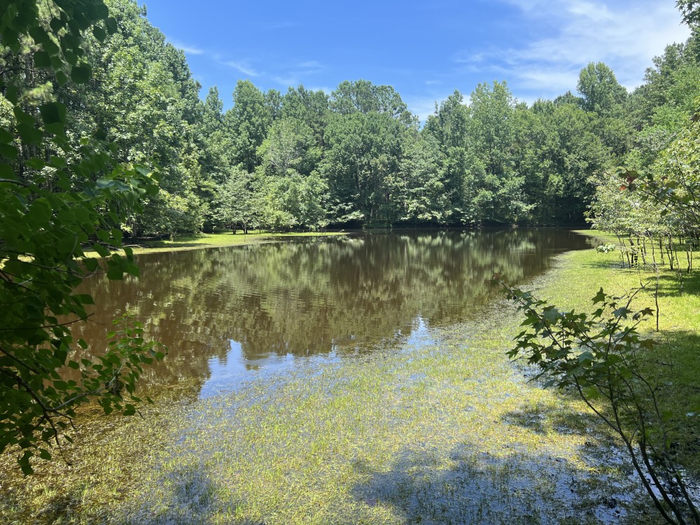 LA - Lincoln 36 acres - featured image