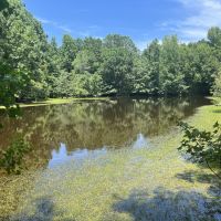 LA - Lincoln 36 acres -