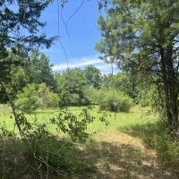 LA - Lincoln 36 acres - images 3