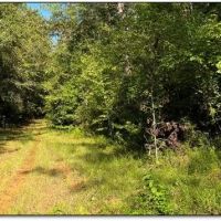 52 Acres in Lauderdale County in Meridian MS images 2
