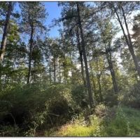52 Acres in Lauderdale County in Meridian MS images 4