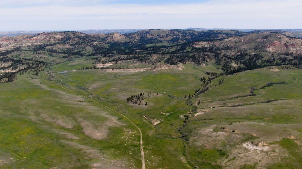 Cook Mountain Hunting Ranch featured image