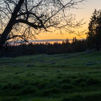 Cook Mountain Hunting Ranch images 4