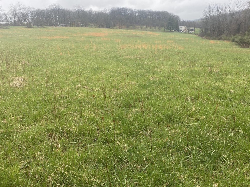 Perry Rd. Washington County - 17 acres featured image