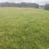 Perry Rd. Washington County - 17 acres