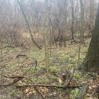Perry Rd. Washington County - 17 acres images 3
