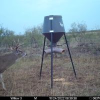 Greer County 300 images 2