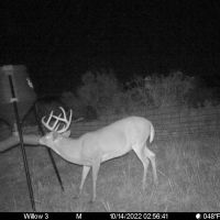 Greer County 300 images 3