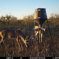 Greer County 300 images 4