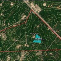 186 ACRES OF GREAT HUNTING AND FISHING NEAR QUITMAN images 2