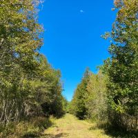 581 Acres Devers Forest images 2