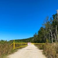 581 Acres Devers Forest images 3