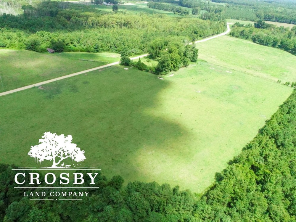 Bear Creek Farm featured image