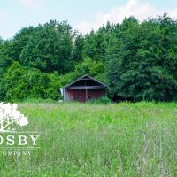 Bear Creek Farm images 4